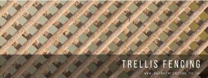 An example of trellis fence panels.