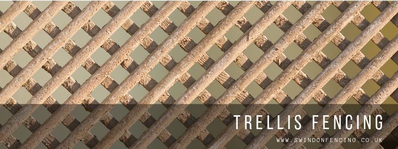 An example of trellis fence panels.